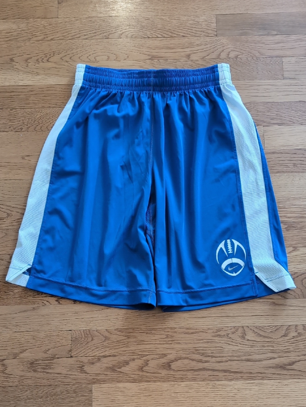 Nike Blue Athletic Shorts with White Side Panels